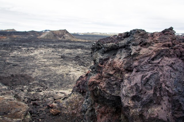 Iceland Lava Field